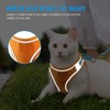 Cat Harness and Leash for Walking Escape Proof Soft Adjustable