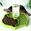 Fayemint 1 Piece Turtle Water Bowl, Feeding Bowl Turtles, Reptiles