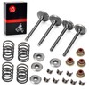 Intake Valve & Exhaust Valve and Seals & Spring &