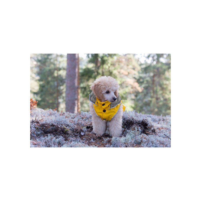 Rukka Pets Stream Raincoat for Dogs Yellow 70