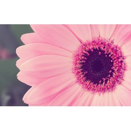 ACEITE DE BAÑO ORIGINAL AVON SKIN SO SO SO SUAVE 2 BOTELLAS 16,9 FL OZ CADA BOTELLA