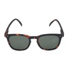 Izipiji IZ-096 IZ-097 IZ-258 IZ-303 Sunglasses, Polarized Lenses, #E, Unisex