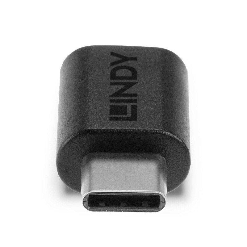 LINDY 41893 USB 3.2 Type C to C Adapter