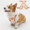 FORGEMATE Waterproof Dog Raincoat & Protective Vest | Corgi Dachshund