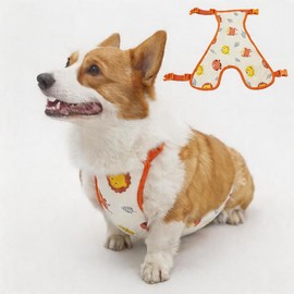 FORGEMATE Waterproof Dog Raincoat & Protective Vest | Corgi Dachshund Apron Belly Cover | All Weather Gear for Puppy Walking(Boy-M)