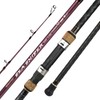 Berrypro Surf Spinning & Casting Fishing Rod Carbon Fiber Travel