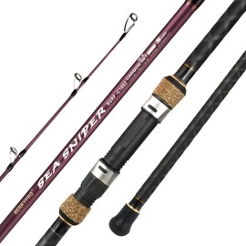 Berrypro Surf Spinning & Casting Fishing Rod Carbon Fiber Travel Fishing Rod (9 Feet /10 Feet /12 Feet) (11'-Spinning 2-Piece)