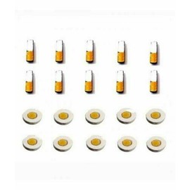 HPS Sujok Therapy Acupressure (10 Bar + 10 Chakra) Magnet Shipping