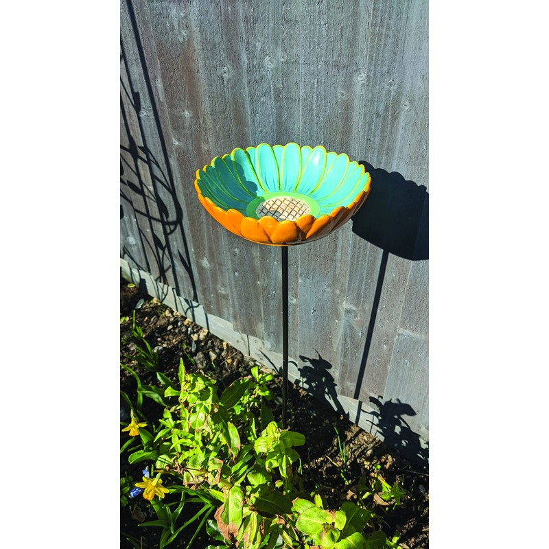 African Daisy Bird Drinker