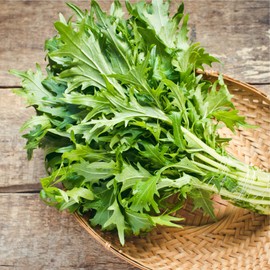 Mizuna (Heirloom Japanese Mustard Greens) (500 Seeds)