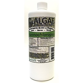 Algae Research Supply Algae Culture Nannochloropsis Ccculata, Perfect for School Science Fairs/Projects, Experiments & Classrooms (1000mL)