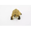 Unbranded Galápagos Tortoise Plastic Realistic Toy Figurine Replica Gift 2"
