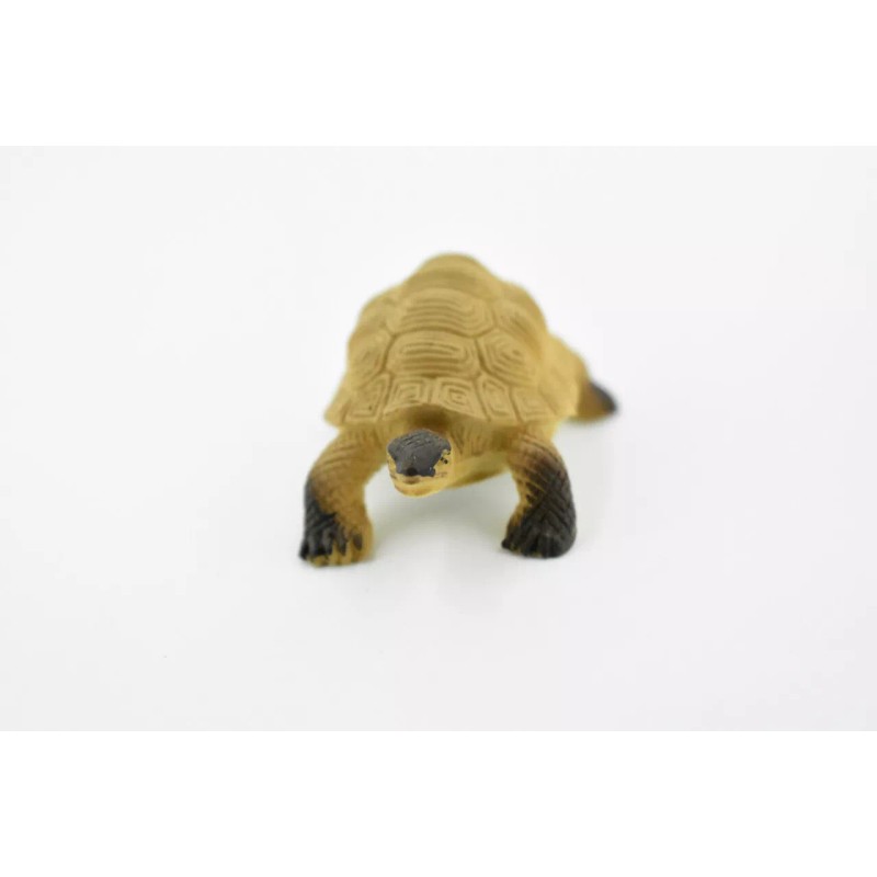 Unbranded Galápagos Tortoise Plastic Realistic Toy Figurine Replica Gift 2"
