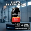 Aminoacidos Pre Entreno Bcaas +glutamina 1kg Warhorse Varios