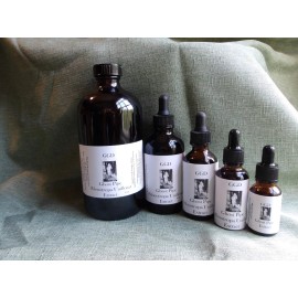 GGD 1 oz Ghost Pipe extract ( Monotropa Uniflora)