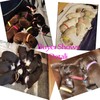 Whaline 15 Colors Puppy ID Collars Whelping Dog Band Newborn