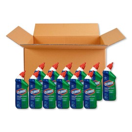 Clorox Toilet Bowl Cleaner with Bleach