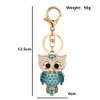 QDDollars Owl Keychain for Women, Cute Owl Bird Key Chain,