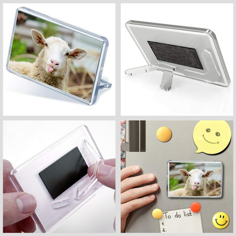 Funny Sheep Classic Fridge Magnet - Cheeky Lamb Farm Animal