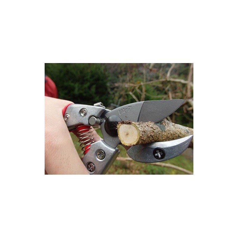 Ars VA-7Z Anvil Pruning Shears, 7.1 inches (180 mm)