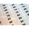 31x10mm, Black on Silver Labels, Consecutively Numbered 1 to 100,