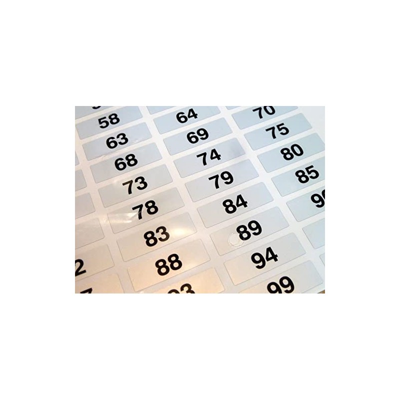 31x10mm, Black on Silver Labels, Consecutively Numbered 1 to 100,