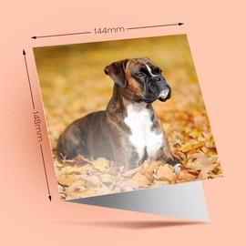 1 x Greeting Card Boxer Puppy Autumn Leaves Dog - Blank Birthday Celebration Anniversary #16251
