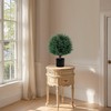 21'' Artificial Cedar Topiary Ball Trees with Ground Spike, 2