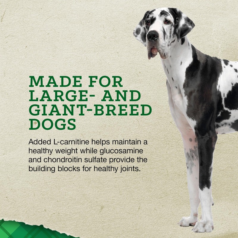 Cargill Loyall Life Large Breed Lamb & Rice Adult Dog