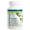 Univera RegeniFREE, All-Natural Joint Supplement, Aloe Vera & Turmeric, No