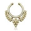Nasenpiercing Nasenring Fake Piercing Septum Helix Piercing Kugeln gold
