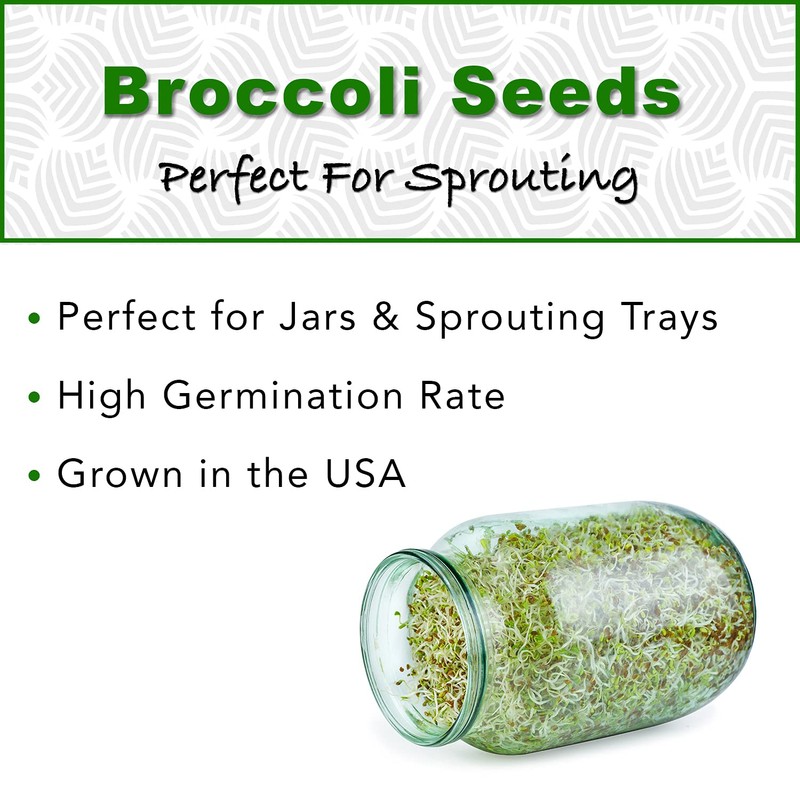 1 lb Broccoli Sprouting Seeds - Perfect for Sprouting &