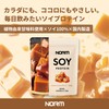 NORM Soy Protein, Salt Caramel Flavor, 21.2 oz (600 g),