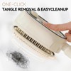 Electric Spray Air Cushion Massage Comb & Hair Steamer, Self-Cleaning