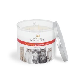 Sweet Memories Scented Glow Candle (Cats)
