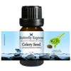 CelerySeed Essential Oil 10ml - 100% Pure by Butterfly Express