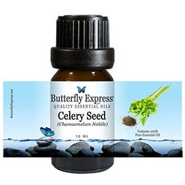 CelerySeed Essential Oil 10ml - 100% Pure by Butterfly Express