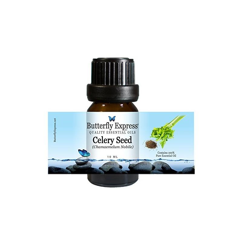 CelerySeed Essential Oil 10ml - 100% Pure by Butterfly Express
