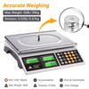 BROMECH Price Computing Scale, 66lb Digital Commercial Food Meat Produce