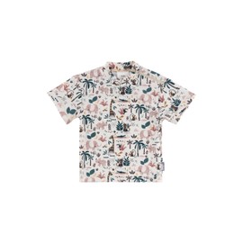 Sterntaler Swimming Shirt Short-Sleeved Safari Print - UV Protection 50+ Swimming Shirt with Crew Neck - Boys UV Shirt with Zip in Shoulder Seam - Baby Swimwear, ecru, 116