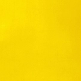 LIQUITEX Basics Acrylic Paint, Cadmium Yellow Medium Hue, 118 ml (Pack of 1)