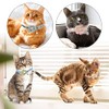 Collares de perro básicos, paquete de 4 collares de gato