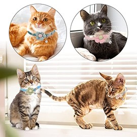 Collares de perro básicos, paquete de 4 collares de gato ajustables                                                                                   