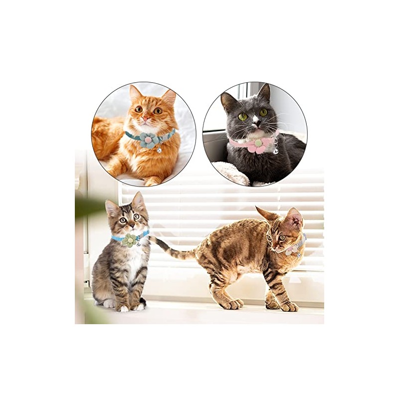 Collares de perro básicos, paquete de 4 collares de gato