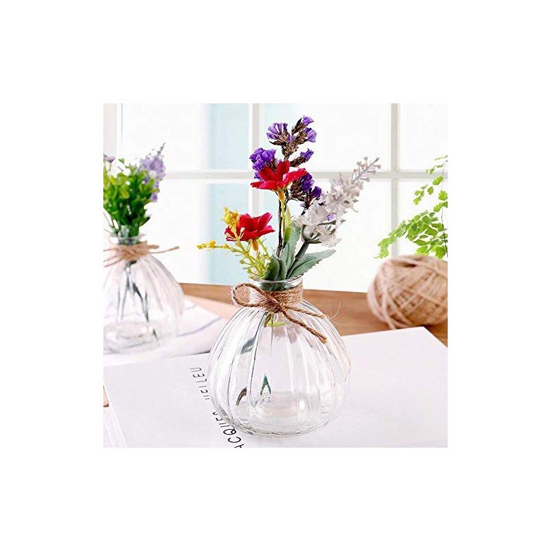 vipolish 1Pcs Empty Clear Glass Diffuser Bottle Aromatherapy Diffuser Jar