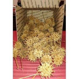 100 Sweet gum balls.  Freshly picked from GA.  Most with stems, some without.