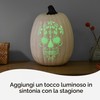 Cricut Vinile Rimovibile | Glow in the Dark | 61