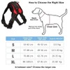 No Pull Dog Harness Outdoor Adventure Pet Vest with Handle