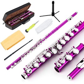 EASTROCK EASTROCK Closed Hole Flutes C 16 Key for Beginner, Kids, Student -Nickel Flute with Case Stand and Cleaning kit (Pink)