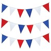 Happium 10m / 32 ft Solid Colour Bunting Flags Banner